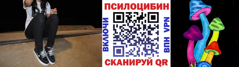Псилоцибиновые грибы мухоморы  omg ONION  Салаир 