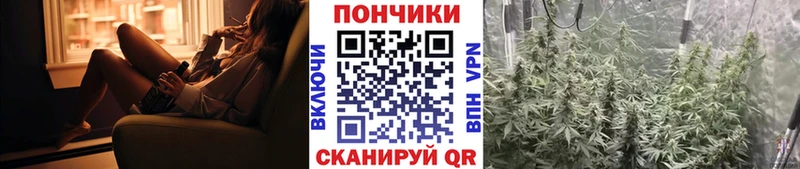 Бошки марихуана планчик  Салаир 